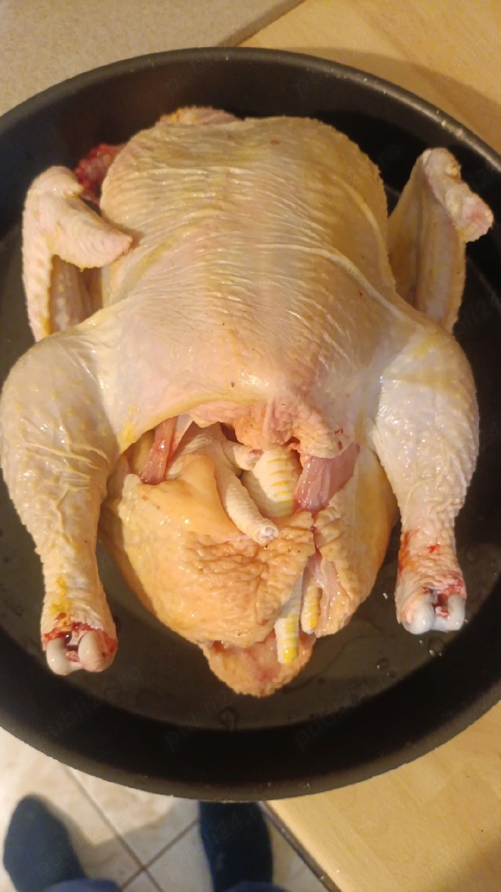 Pui de carne 