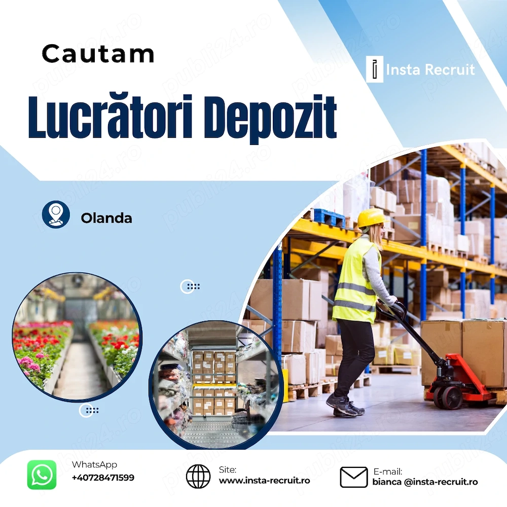 Angajări în Olanda- Logistică, Depozite și Producție