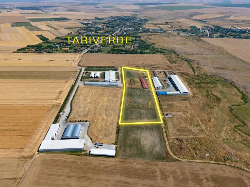 Cogealac - Tariverde – Ferma cu teren intravilan, utilitati racordate!