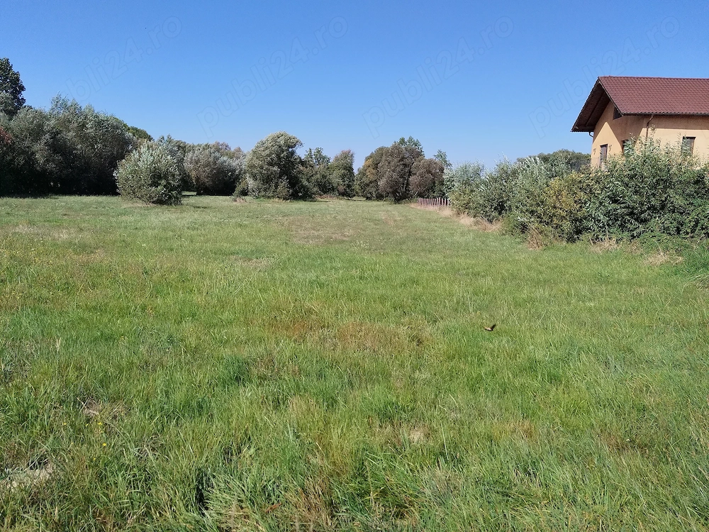 Gradină de vânzare