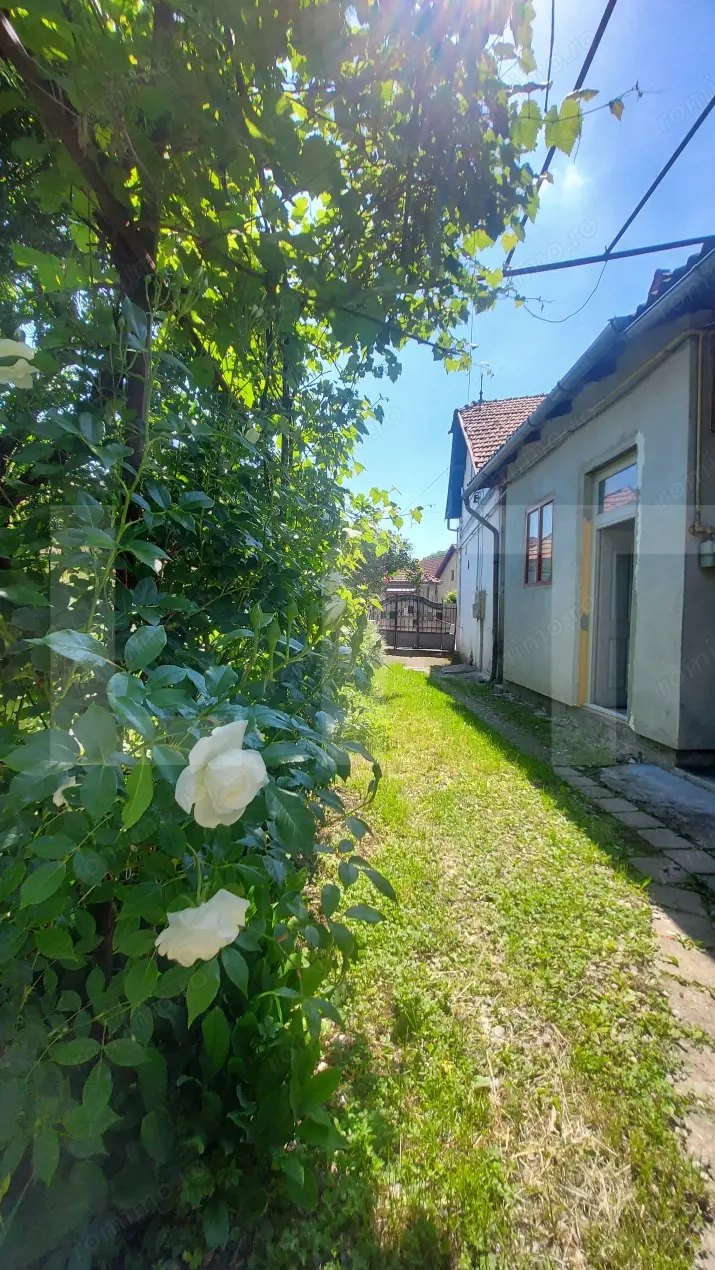 Spatiu comercial central I Vitrina stradala I Curte, Pivnita, Mansarda