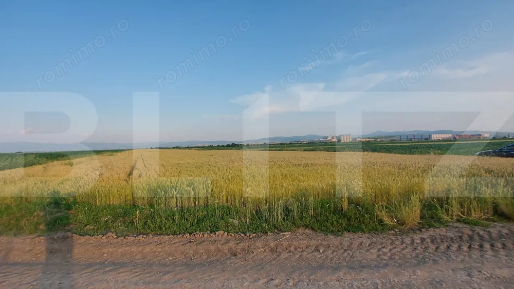 Teren arabil 9.000 mp în Moacșa – investiție într-o zonă agricolă cu potential