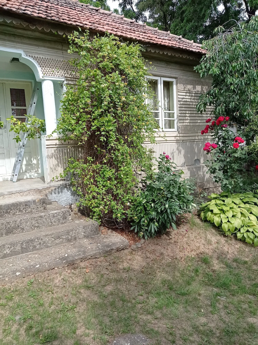 Casa de vanzare