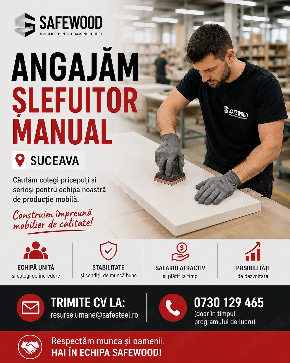 SAFEWOOD_șlefuitor manual Suceava