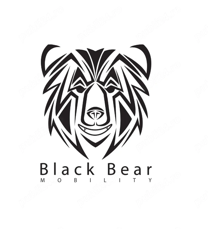 BLACK BEAR MOBILITY angajează șoferi categoriile BE, C și C+E