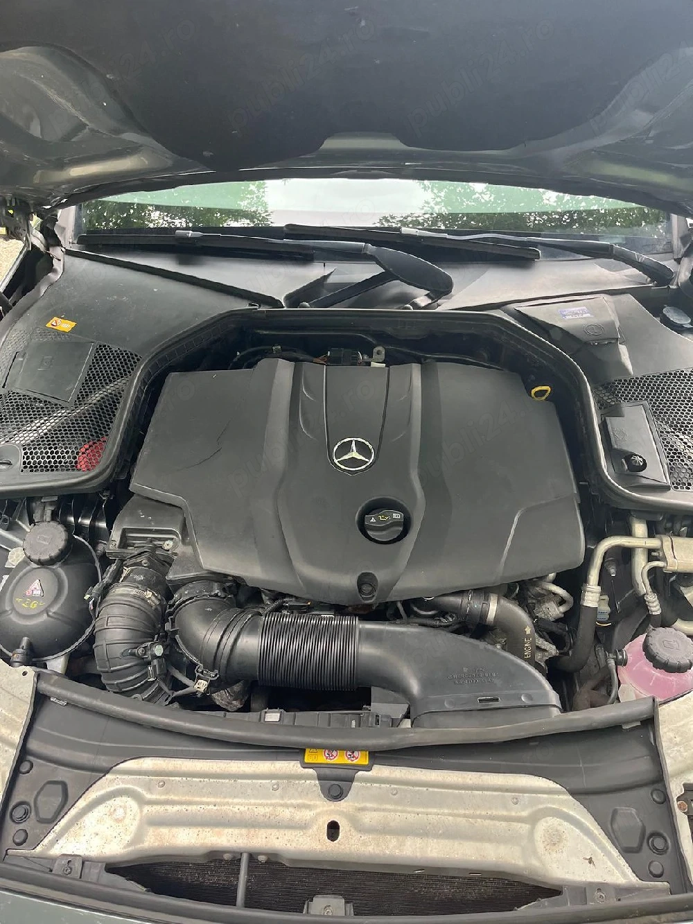 Mercedea C Class