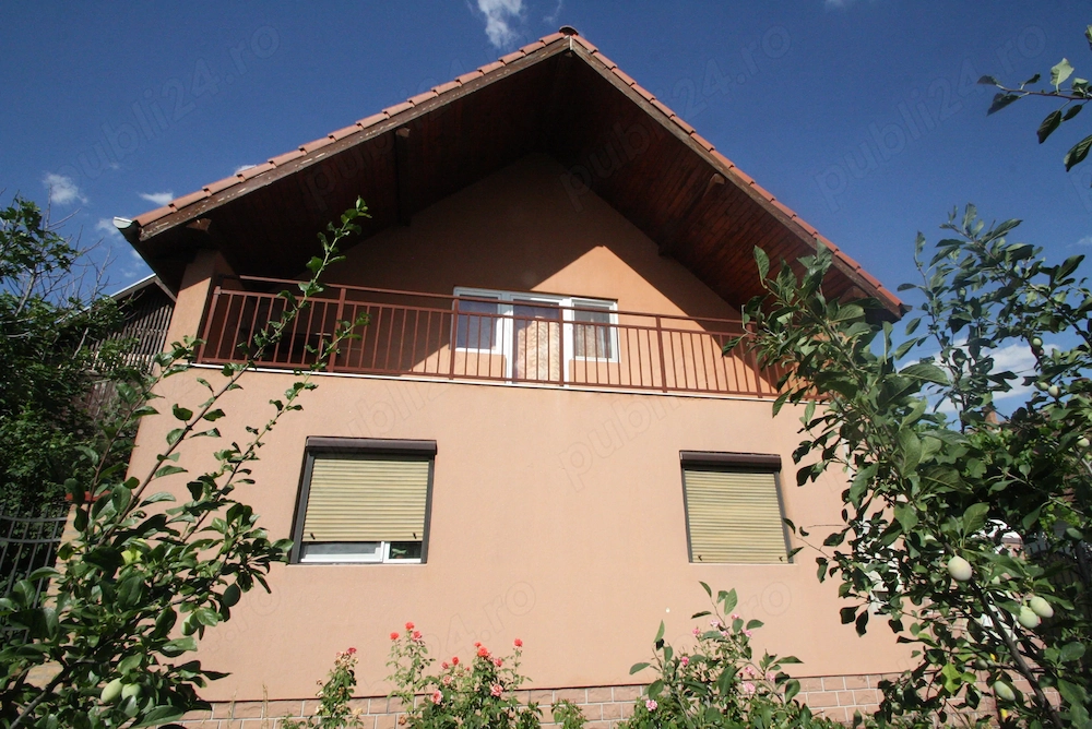 Vand casa deosebita, ideal pentru 2 familii Biled