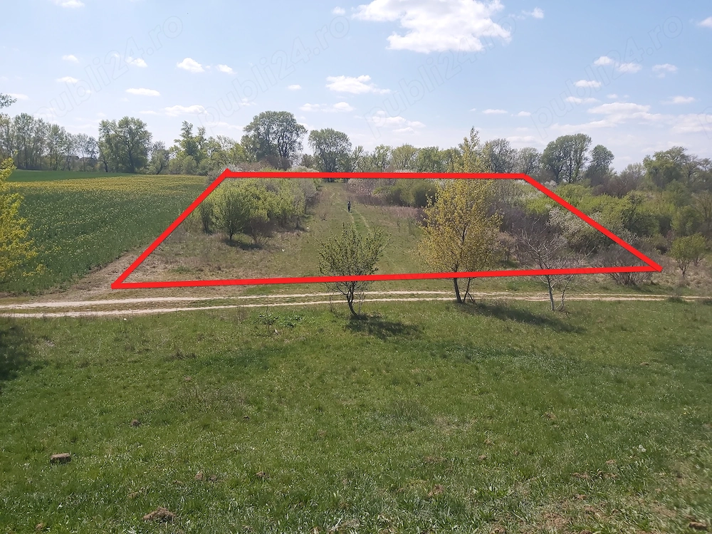 Teren extravilan, 3000 m2, Satu-Mare