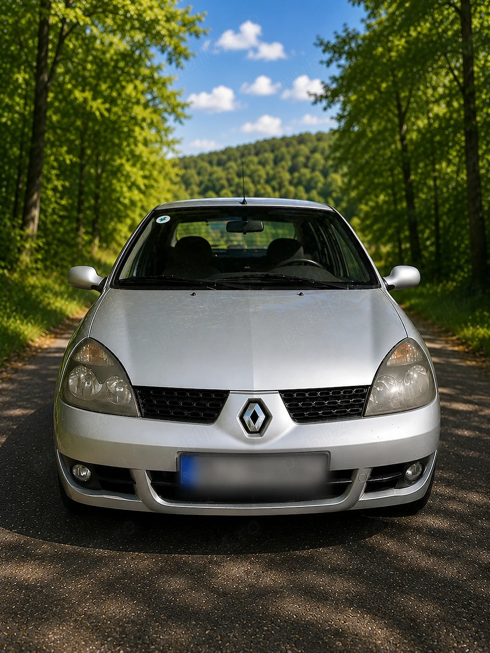 Vand Renault Symbol