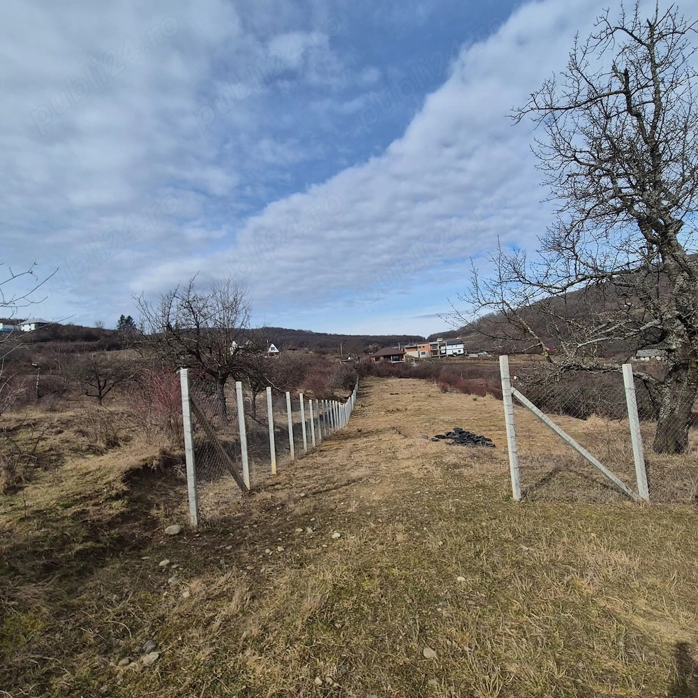 Teren de vânzare Valea Rusului 