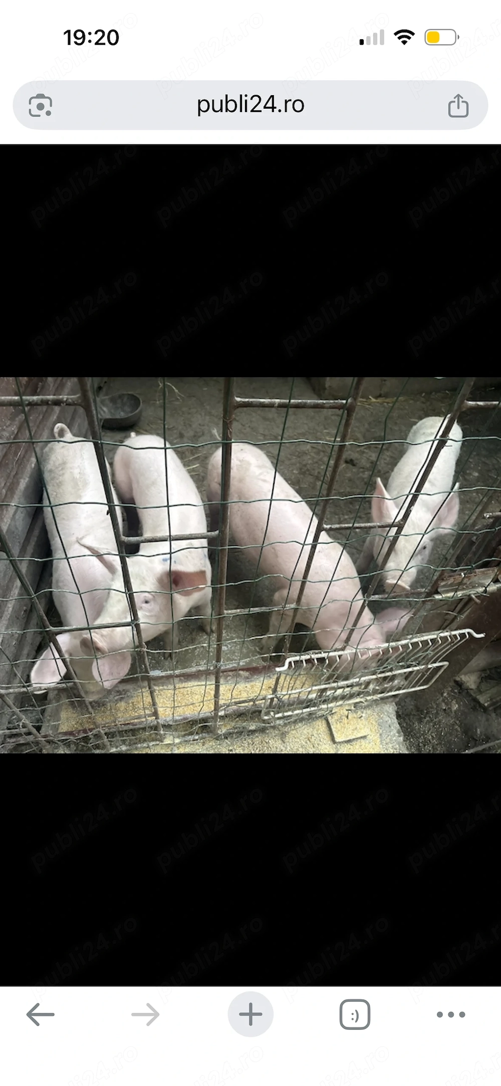 Purcei de vânzare Petrachioaia 