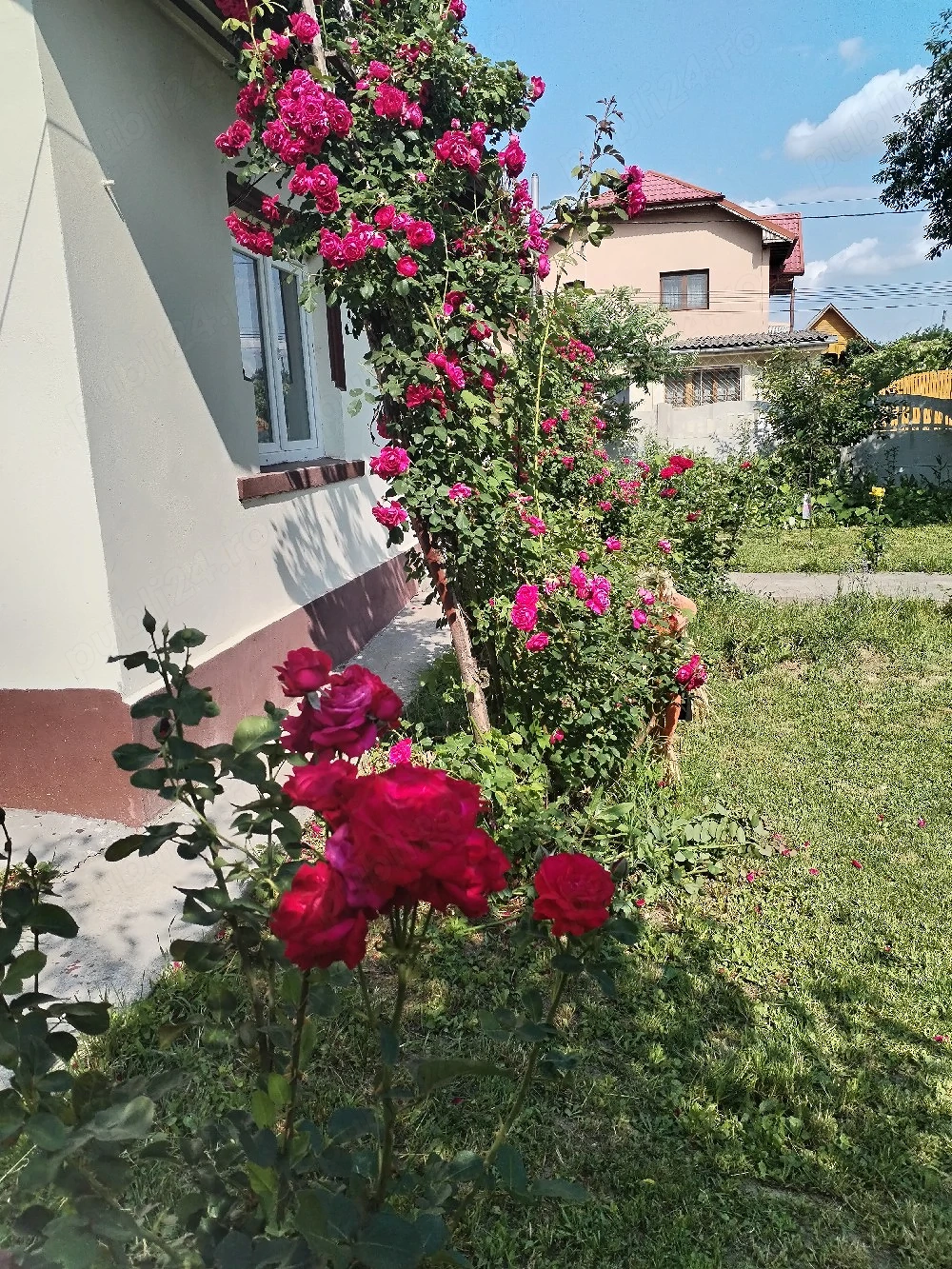 vand casa 