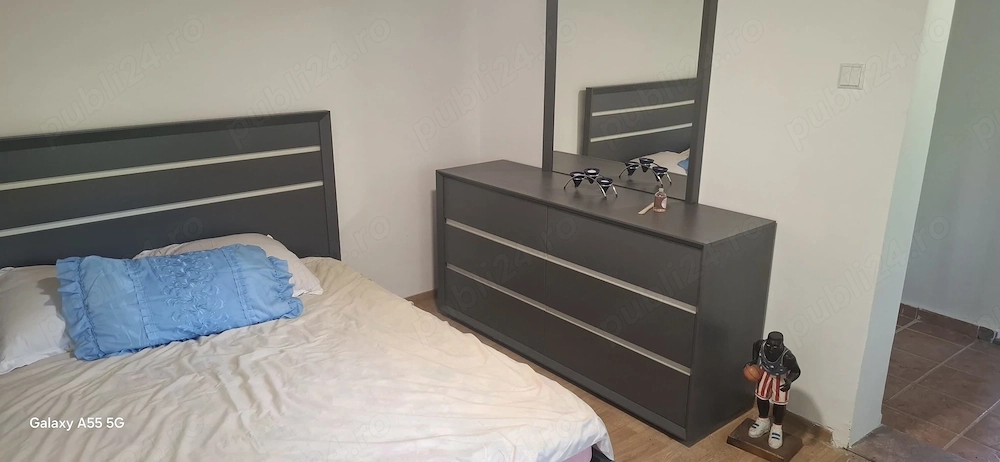 Casa de vanzare în sat Stejaru, Com. Ion Creanga cu 2500mp teren