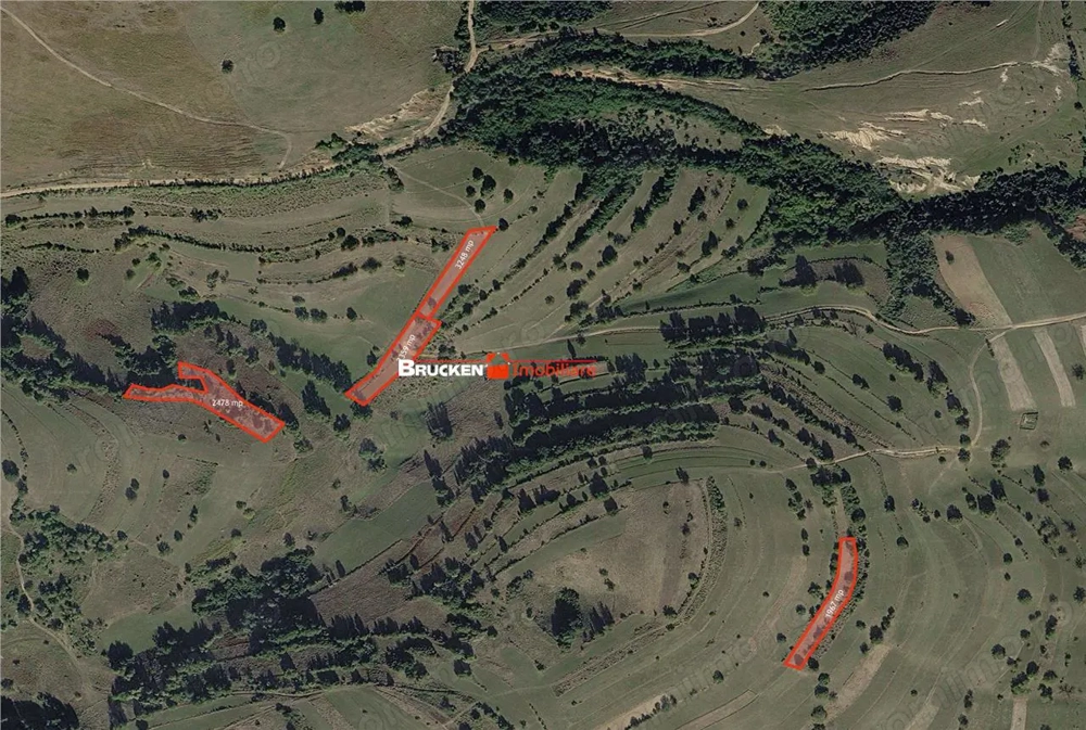 Portofoliu funciar de peste 10 hectare | Izbuc - Carpinet | Jud. Bihor