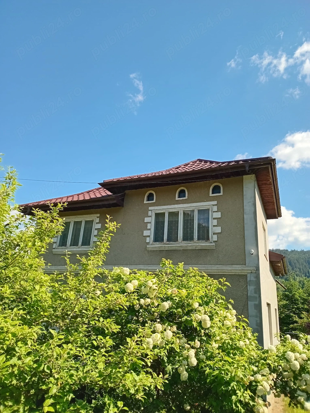 vand proprietate in Vatra Dornei