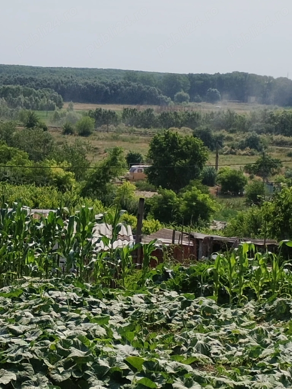 Teren intravilan de vânzare în Mahmudia   vedere spectaculoasă la Dunăre