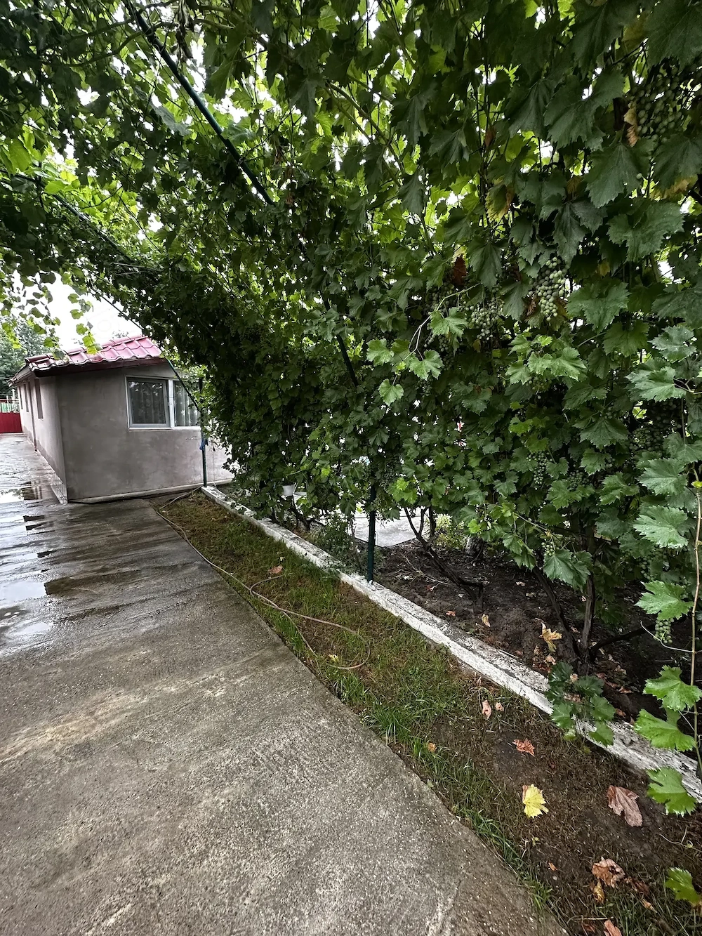 De vanzare Casa in Lehliu