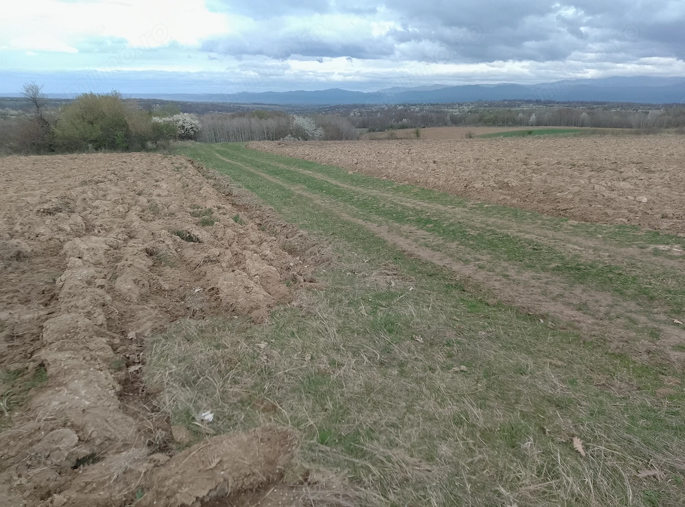 Pământ extravilan in Zgribesti 