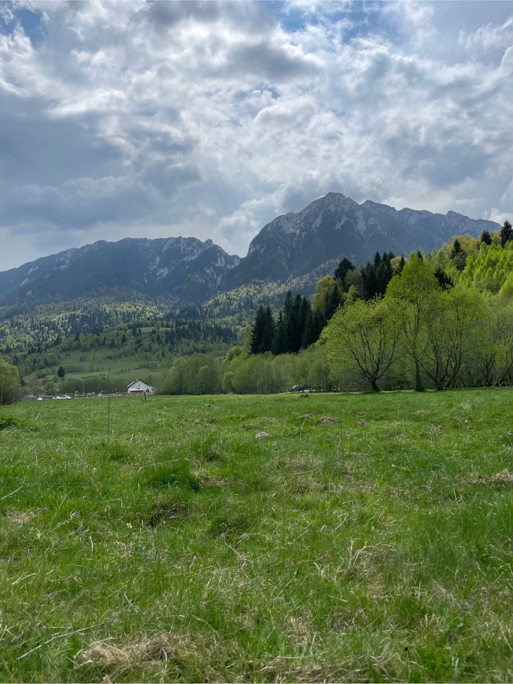 Teren de vanzare Zarnesti  Brasov Piatra craiului