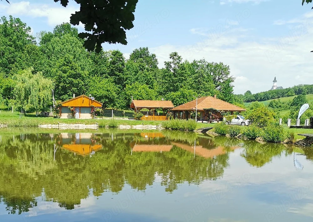 Vând proprietate 5,78ha  în vecinătatea Mănăstirii Dobrești-Timiș. 