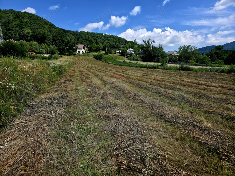 Teren 600mp Viisoara / Strada Primaverii