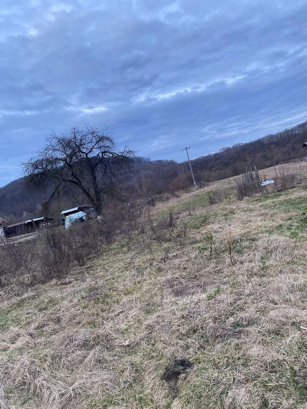 Vand teren intravilan 32 arii