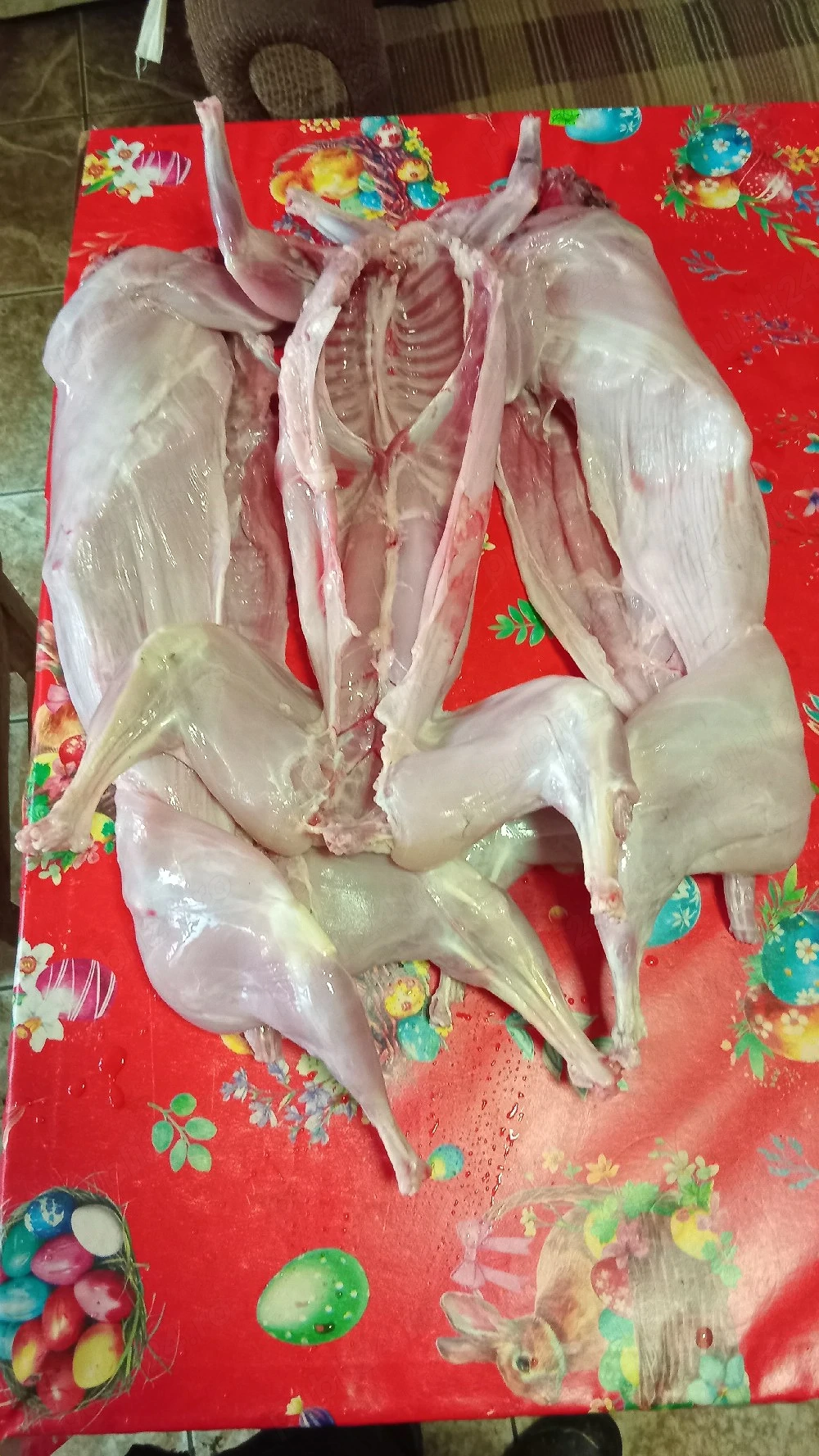 carcasă iepure  + organe