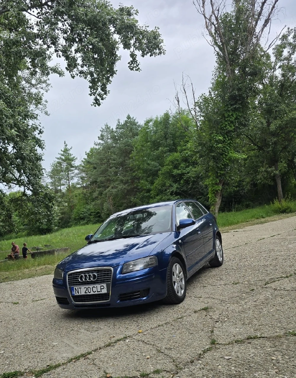 Audi A3 8P Sportback  1.9 TDI (Cod BKC) 2006 