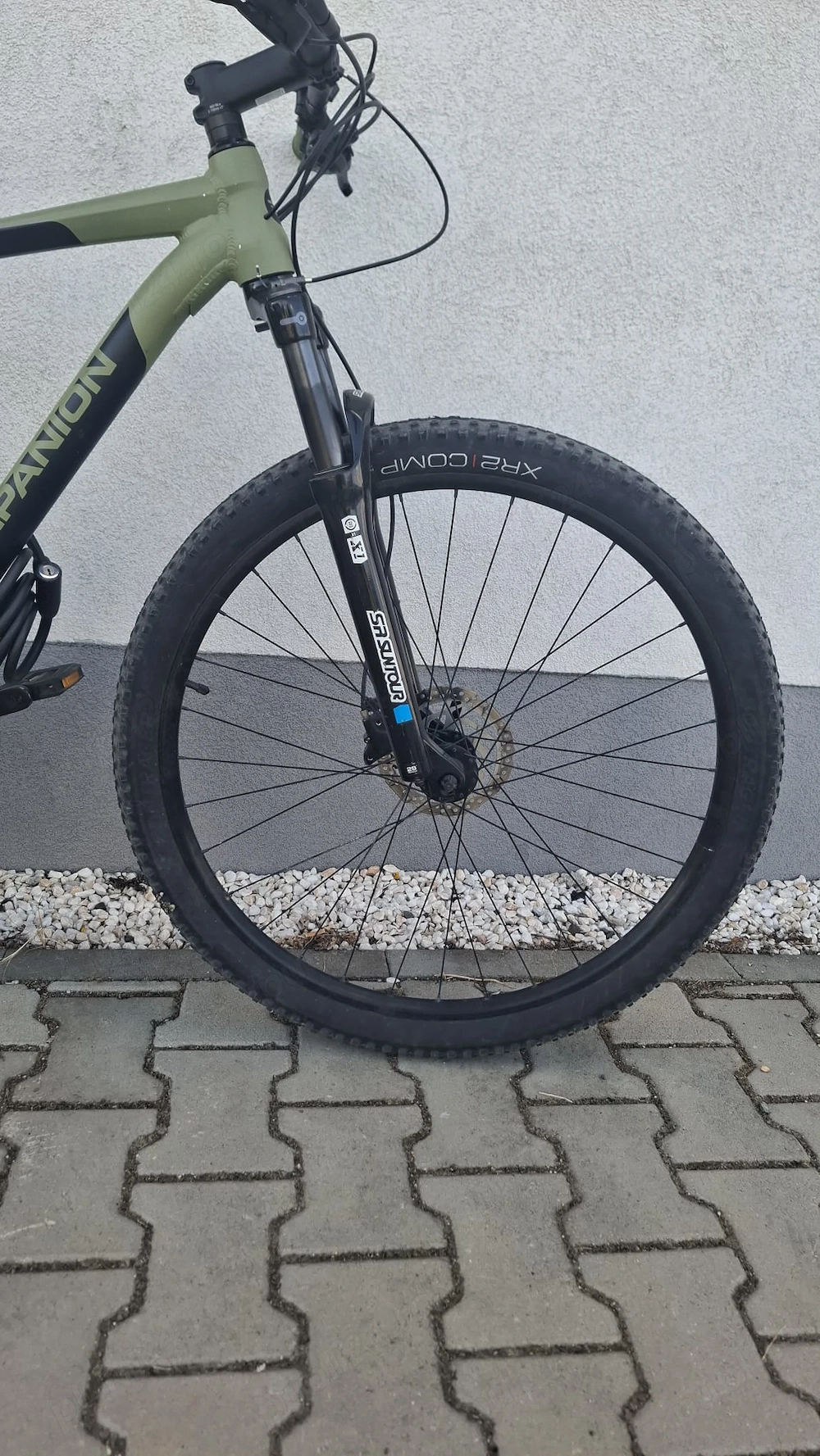 Bicicleta Companion MX 1.0