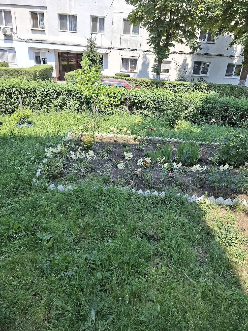 Garsoniera Manastur - 39.500 euro negociabil