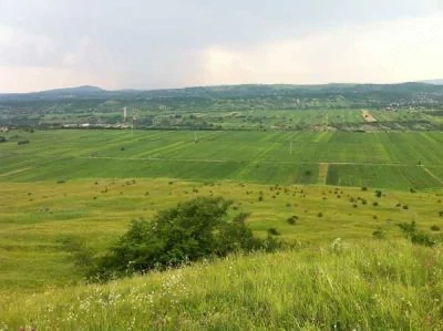 Teren extravilan Drajna de Sus zona Stanesti
