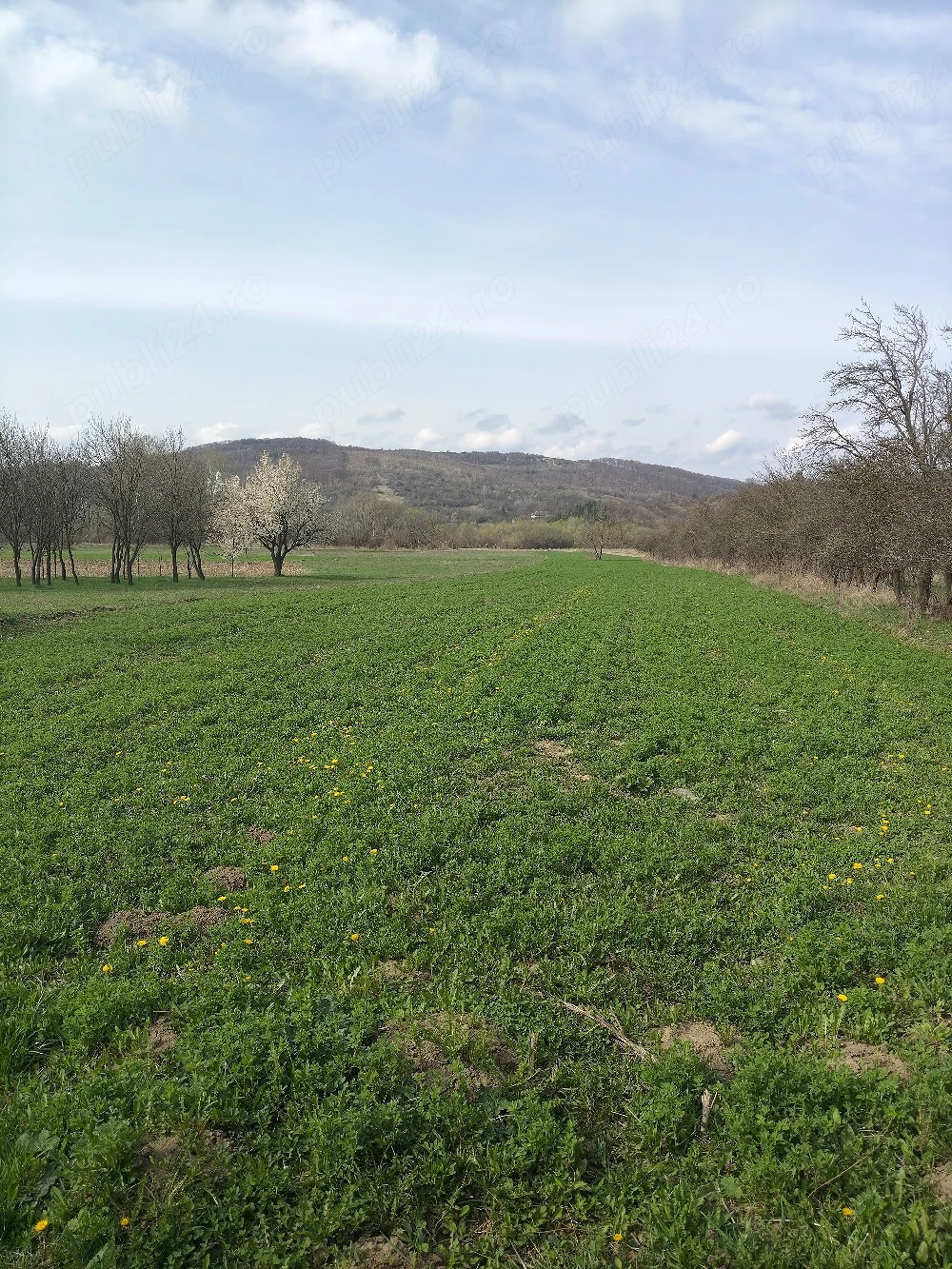 Inchirez casa pentru afacere , asfalt 