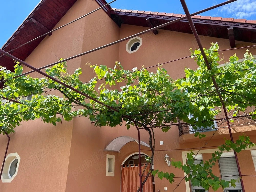 Oradea - OCAZIE UNICA pentru viata la tara si cine doreste !?