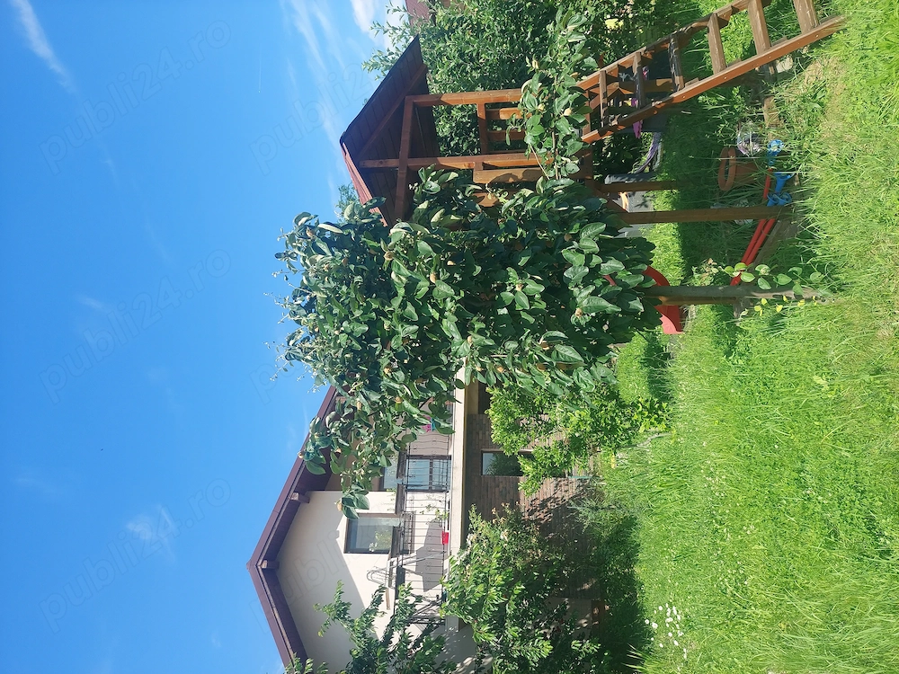 Casa P+1, Păulești Prahova 