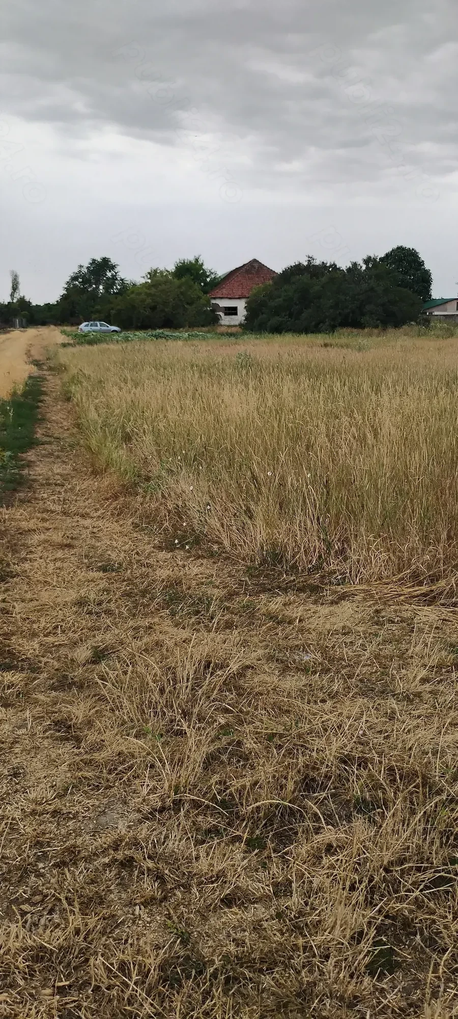 Teren extravilan cu o constructie agricola 