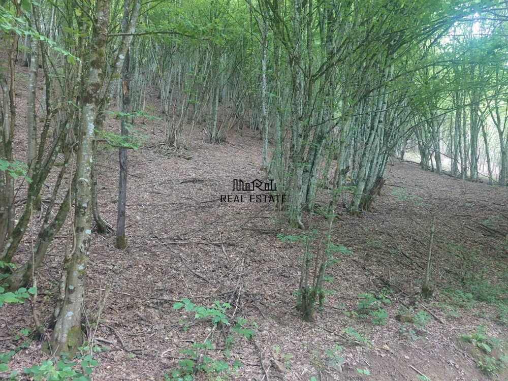 Teren in Bulzestii de Sus 2255mp