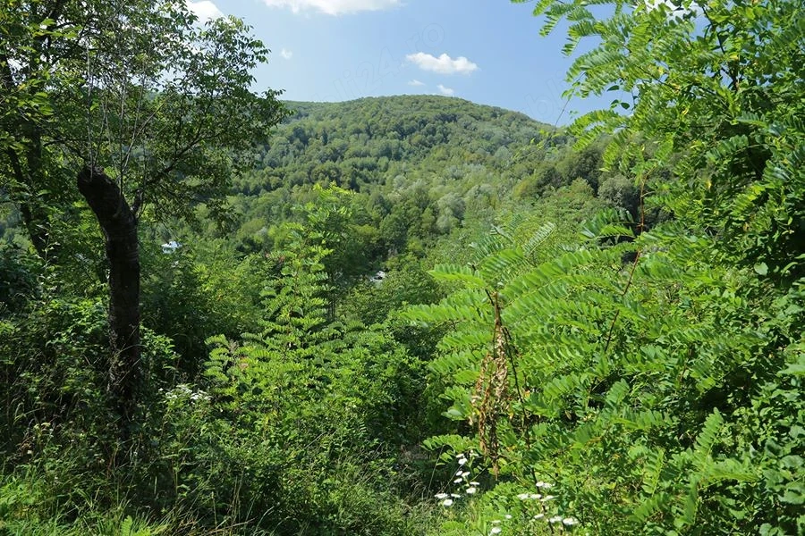 Teren de vânzare 