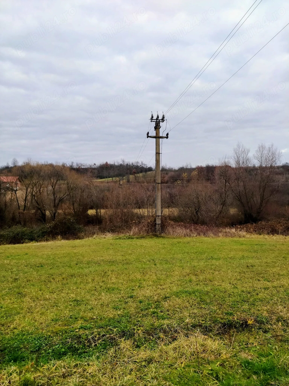 1,5 Ha Teren Industrial la Sarand, jud. Bihor