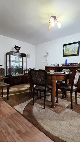Constantin Brâncuși Drumul Taberei