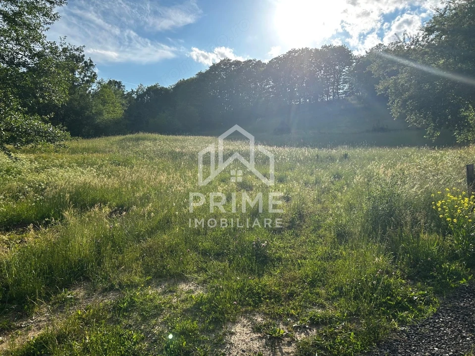 Teren de vanzare | 12 259mp |
