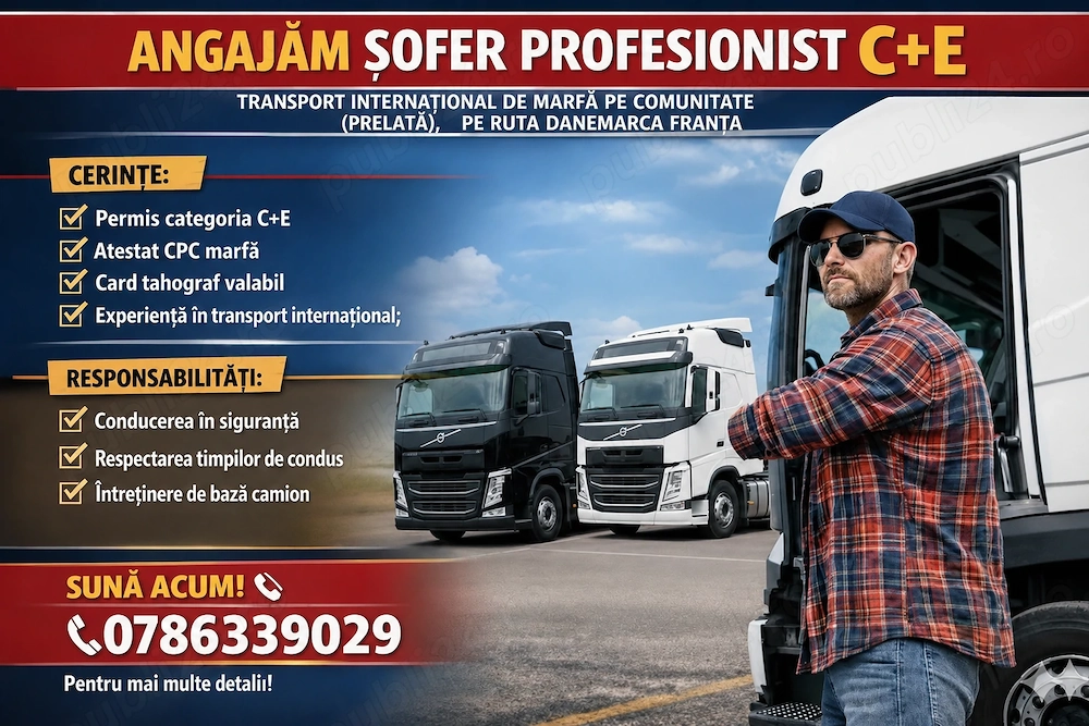 angajam sofer profesionist C+E
