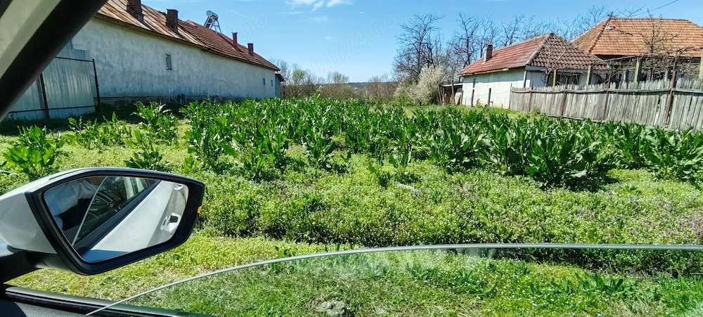 Teren de vanzare 1683 Talpasesti, jud. Gorj