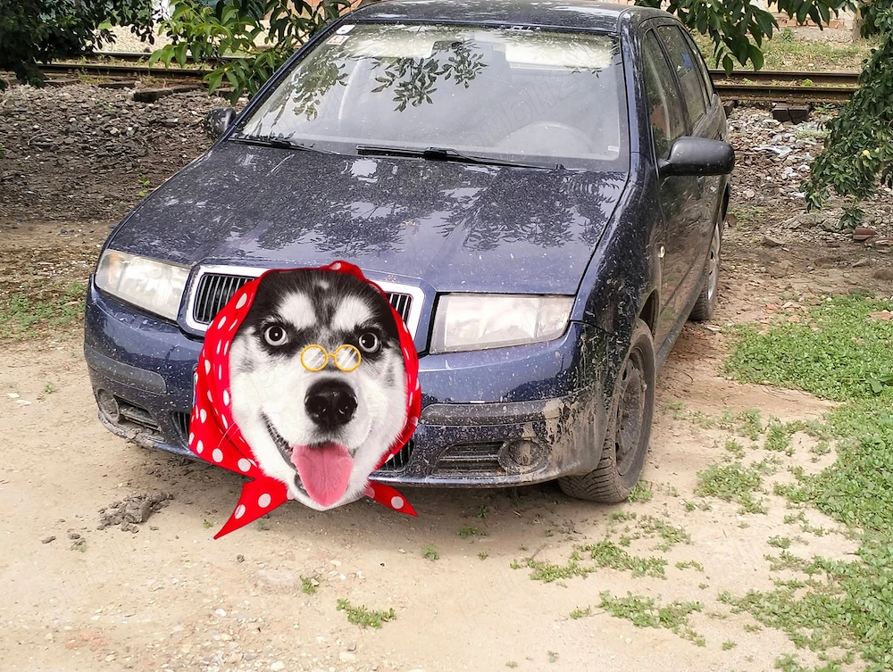 Vând Skoda