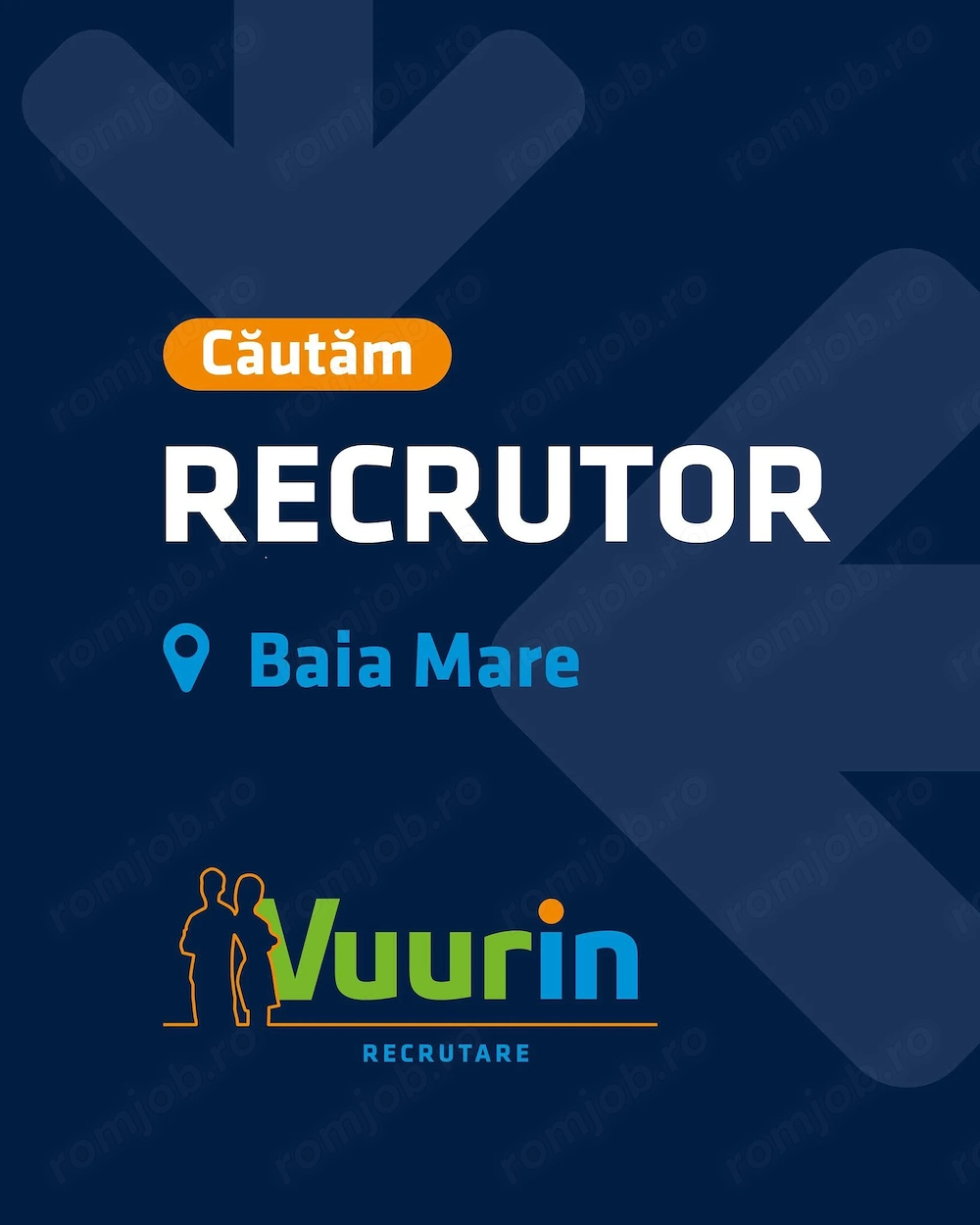 Căutăm o doamnă domnișoară pe postul de RECRUTOR ! 