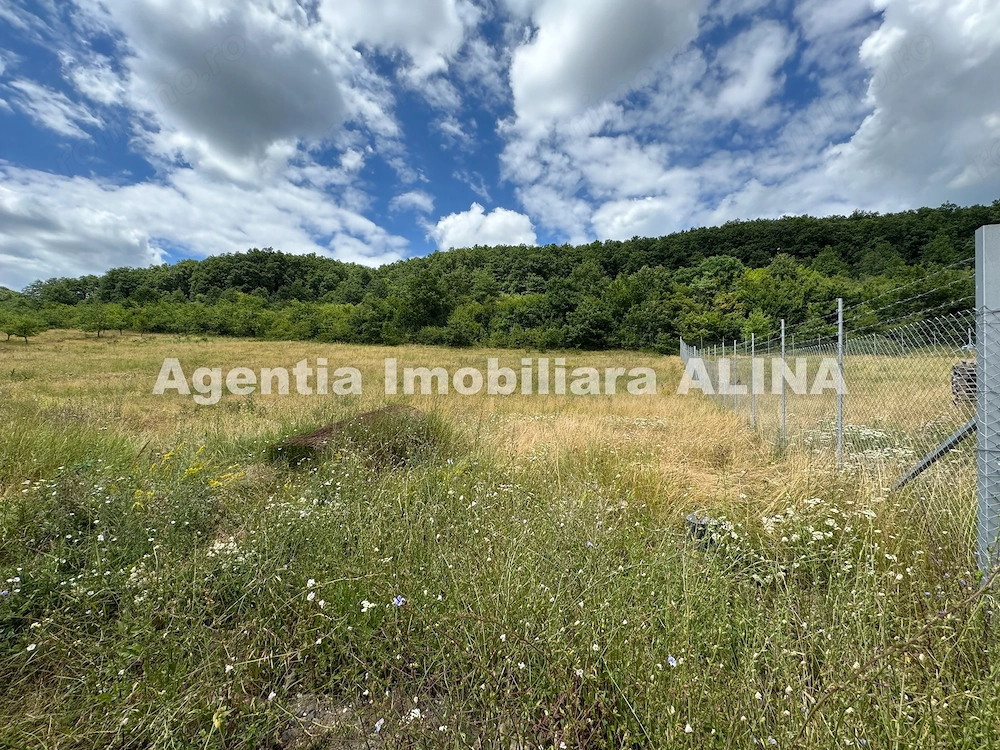 Teren intravilan 1.905 mp in Satul Soimus din Comuna Soimus, Jud. HD.