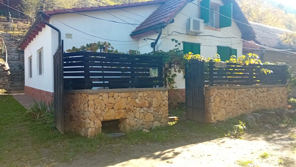 Casa de vanzare sasca montana