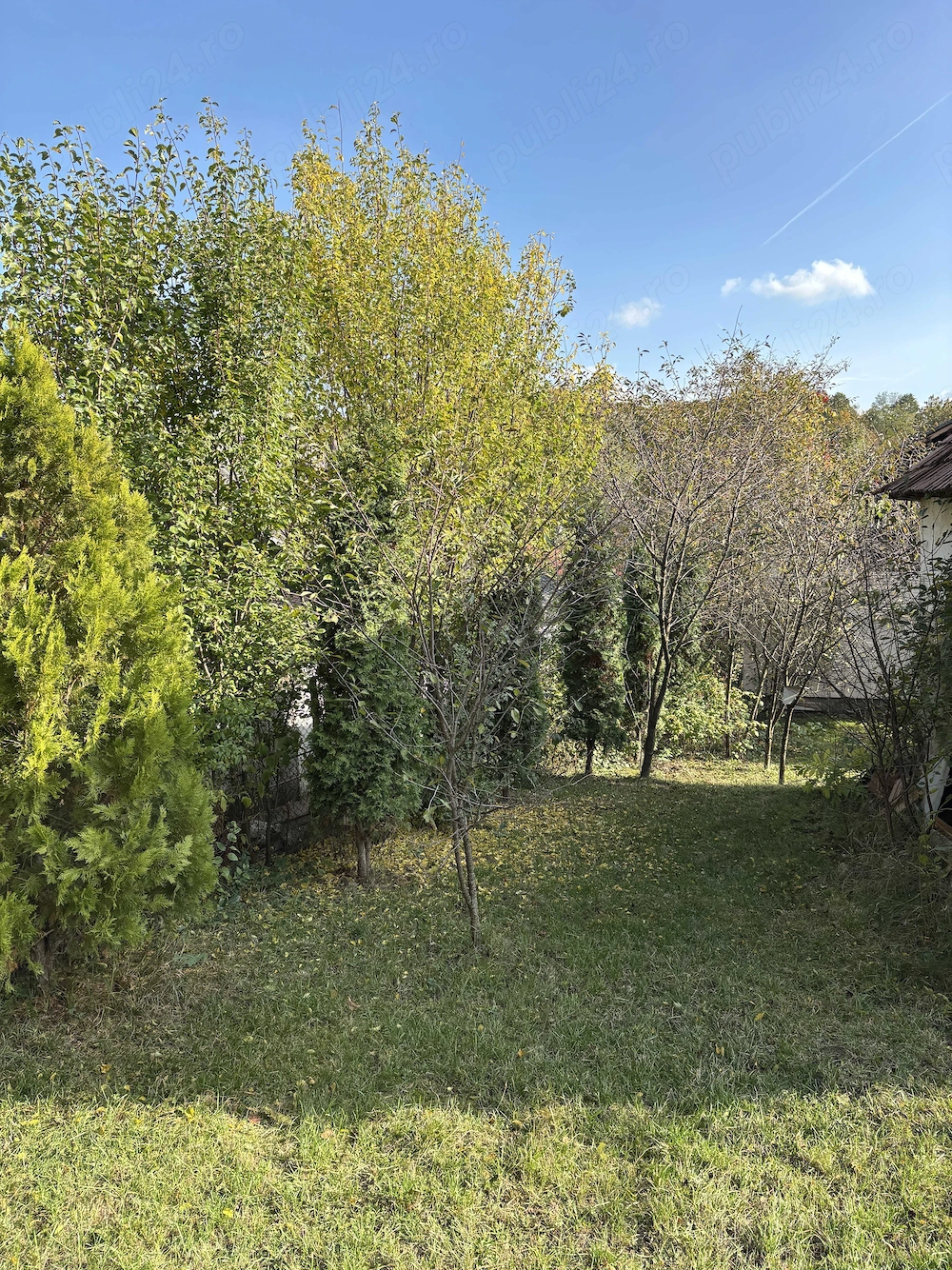 Casa de vanzare in Vulcana de Sus | 3 camere
