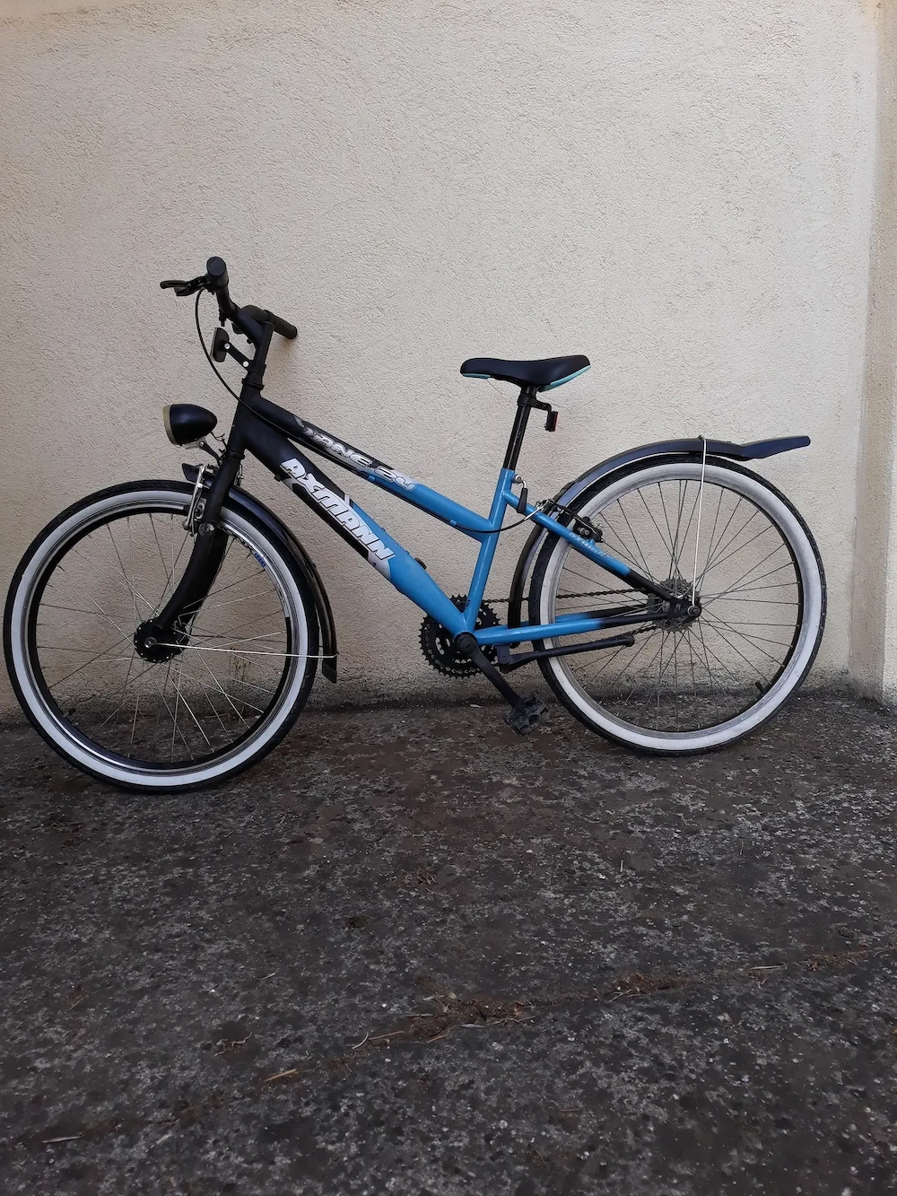 Bicicletă 24 AXMANN