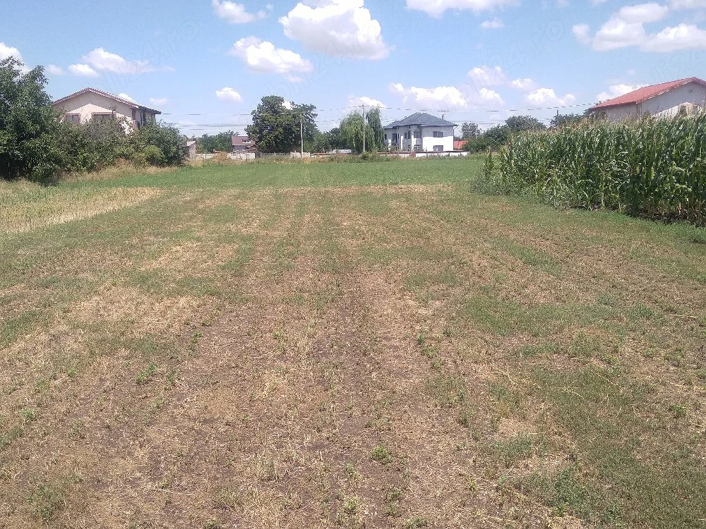 Vând teren intravilan 2350 mp Frătești, ideal investiție casă, utilități, 400m de DN5