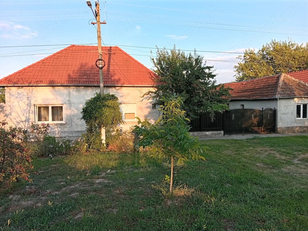 Casă 5 camere în Nădlac str.Viile Vechi